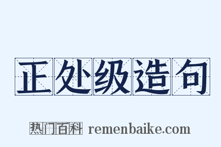 正处级造句是什么意思的图片